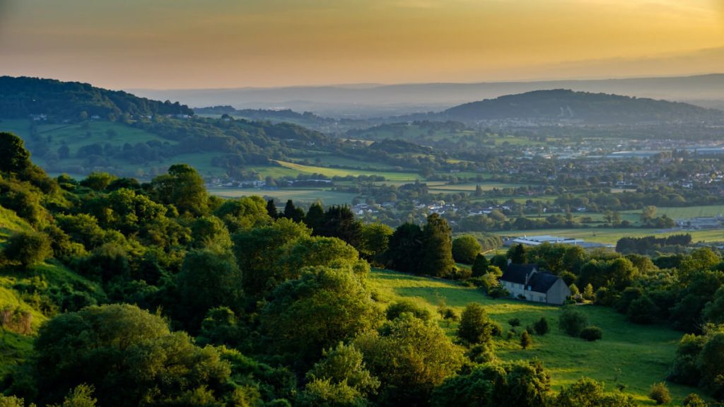 View of fields on a sunny evening